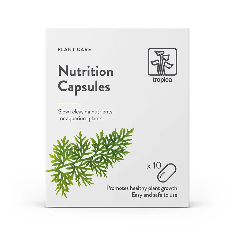 10 כדורי דישון למצע טרופיקה Tropica Nutrition Capsules